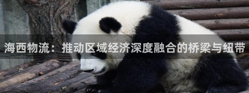 ,优游国际链接来一个：海西物流：推动