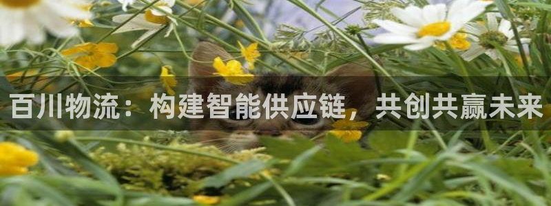 ,优游国际电子游戏：百川物流：构建智