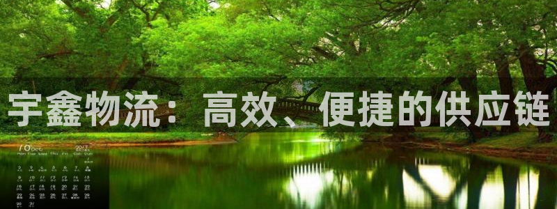 ,优游国际充值不到账：宇鑫物流：高效