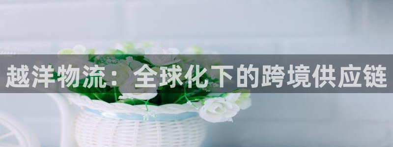 优游国际官方网站：越洋物流：全球化下