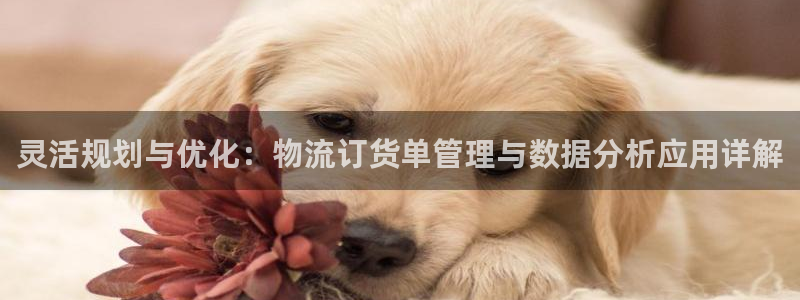 ,优游国际加拿大
