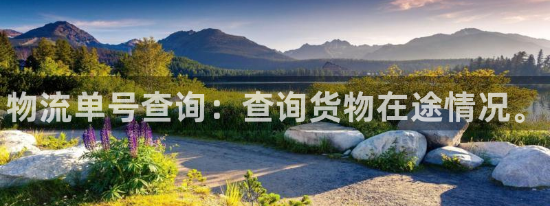 ,优游国际加拿大28：物流单号查询：