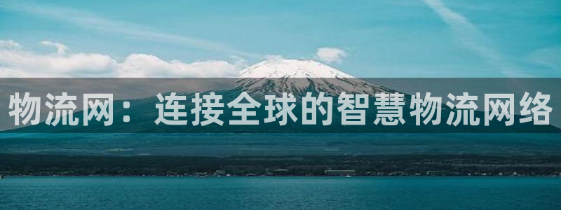 南宫,优游国际怎么注册：物流网：连接