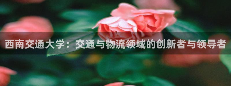 ,优游国际pg如何退钱：西南交通大学