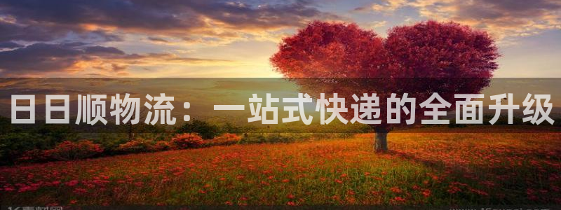,优游国际游戏：日日顺物流：一站式快递的全面升级