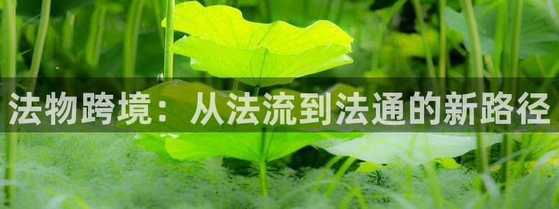,优游国际模拟器在线使用：法物跨境：