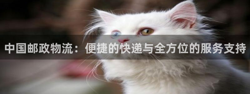 ,优游国际初始密码在哪里修改：中国邮