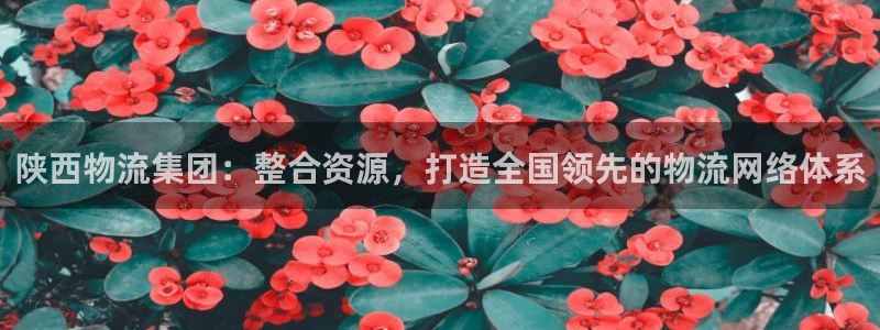 ,优游国际里的财神