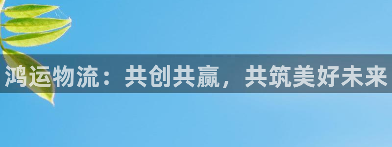 ,优游国际登录网：鸿运物流：共创共赢