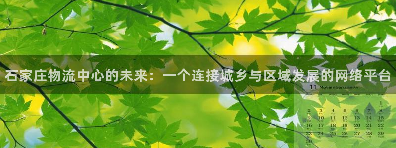 ,优游国际是啥：石家庄物流中心的未来