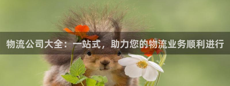 pc,优游国际怎么注册:物流公司大全