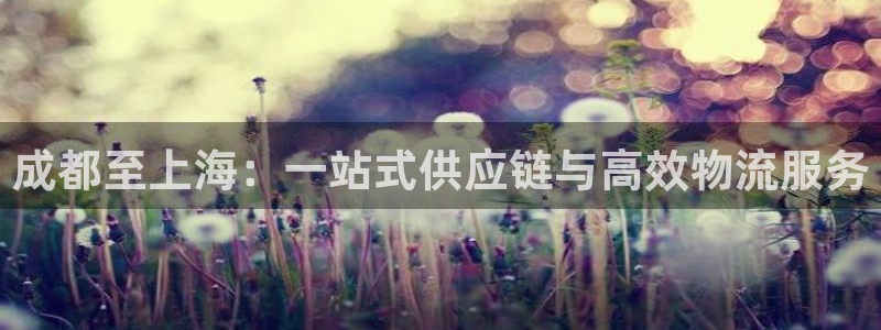 ,优游国际龙虎:成都至上海:一站式供