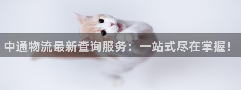 ,优游国际官网多少:中通物流最新查询