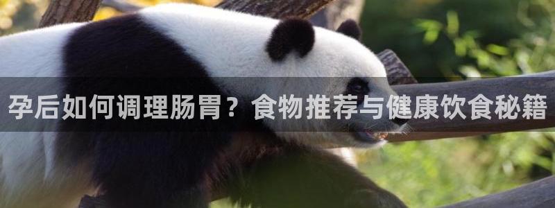 ,优游国际官方:孕后如何调理肠胃?食