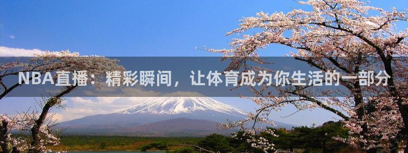 鲸鱼体育赛事直播：NBA直播：精彩瞬间，让体育成为你生活的一部分