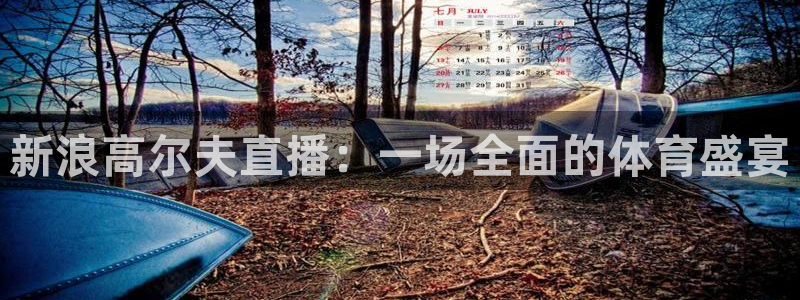 鲸鱼体育app官方下载最新版：新浪高尔夫直播：一场全面的体育盛宴