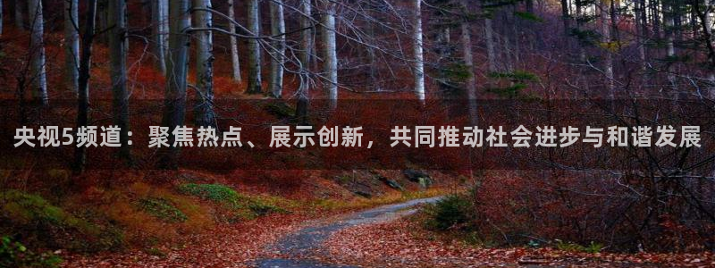 鲸鱼体育app：央视5频道：聚焦热点、展示创新，共同推动社会进步与和谐发展