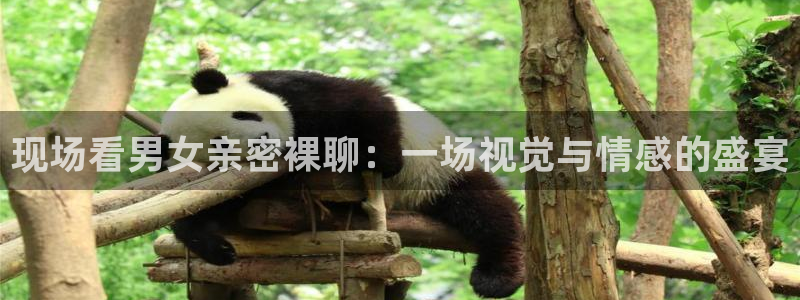 鲸鱼体育足球直播：现场看男女亲密裸聊：一场视觉与情感的盛宴