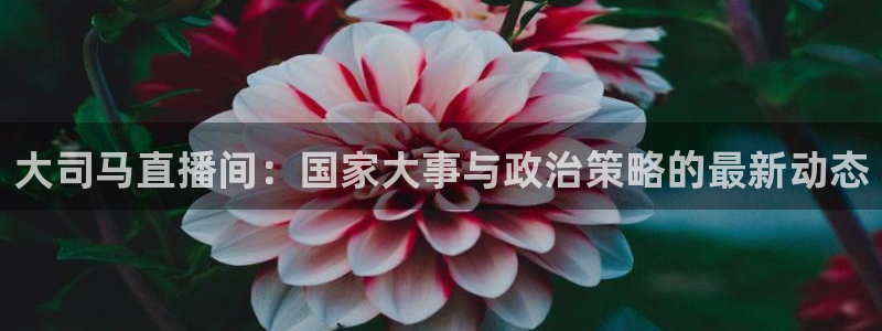 鲸鱼直播足球：大司马直播间：国家大事与政治策略的最新动态