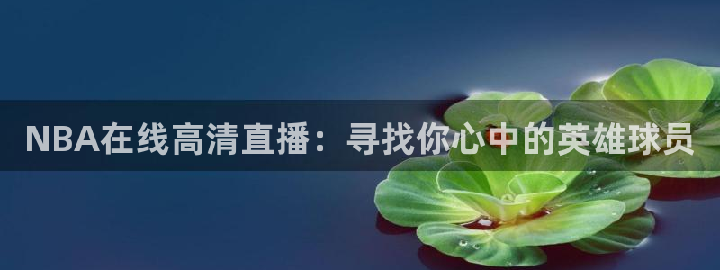 鲸鱼体育.：NBA在线高清直播：寻找你心中的英雄球员