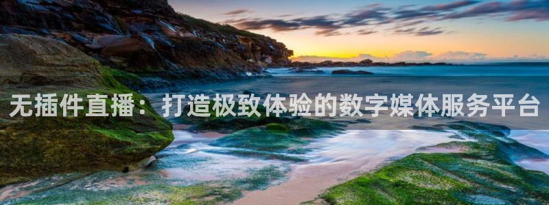 鲸鱼体育直播在线观看免费：无插件直播：打造极致体验的数字媒体服务平台