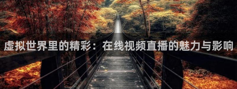 下载鲸鱼体育直播：虚拟世界里的精彩：在线视频直播的魅力与影响