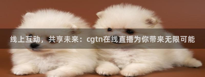 鲸鱼体育app官方入口：线上互动，共享未来：cgtn在线直播为你带来无限可能