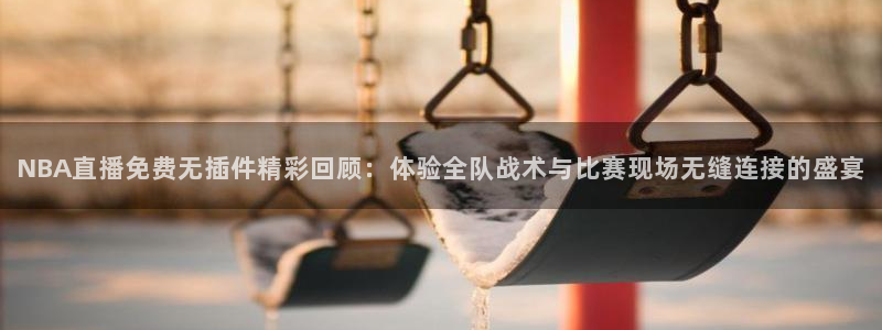 鲸鱼体育直播在线看：NBA直播免费无插件精彩回顾：体验全队战术与比赛现场无缝连接的盛宴